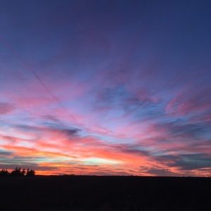 Meet your Posher, Jaelynn